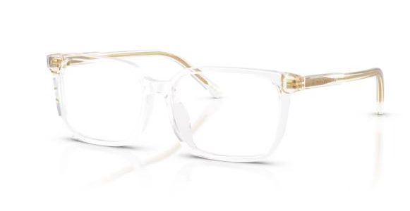 Dolce&Gabbana DX3003 3133
